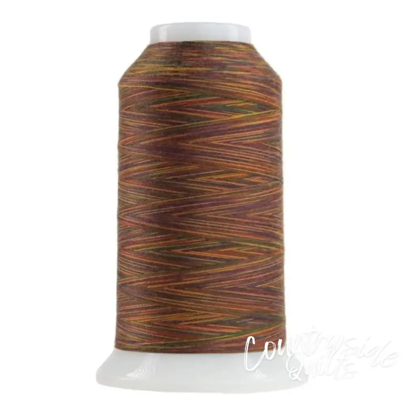 9035 Byzantine Omni Variegated Polyester Thread OMNIV-9035