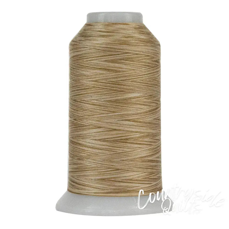 9052 Sandy Beach Omni-V | Variegated Polyester Thread