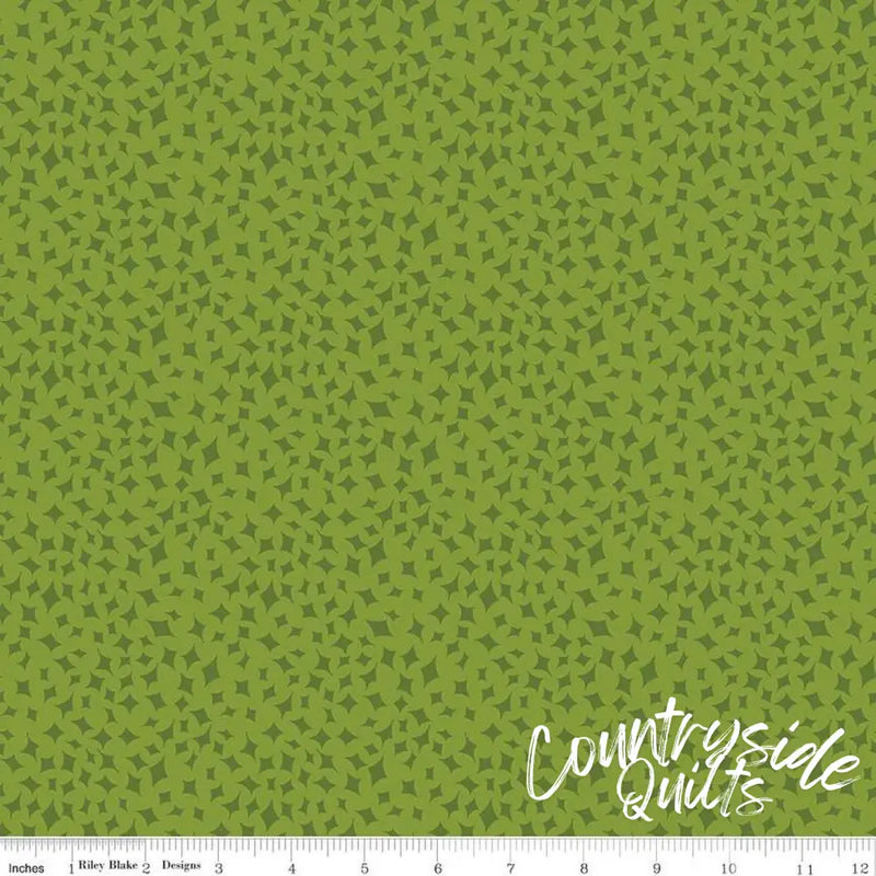 Riley Blake Designs Curated Blooms On Point Green 44’’