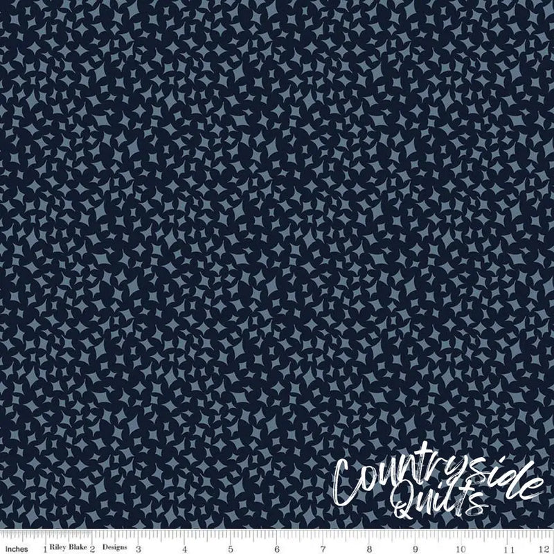 Riley Blake Designs Curated Blooms On Point Midnight