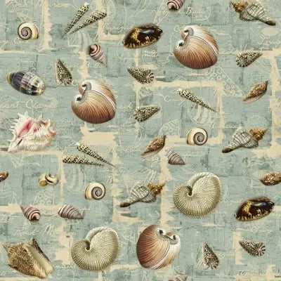 Spring Creative Shell Collection 71575