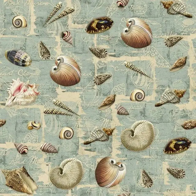 Spring Creative Shell Collection 71575