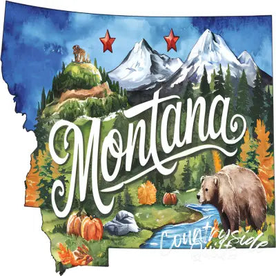 Classic US States Fabric Panel 7