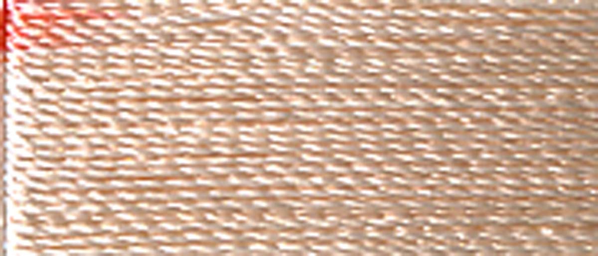 Super Bright Polyester Embroidery Thread 2-ply 40wt 120d 5500yds Winter Almond