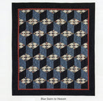 Quilters Academy Vol 4 Senior Year