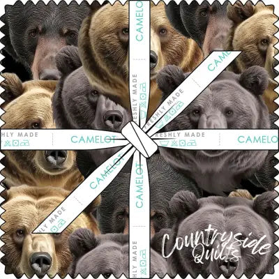 10in Squares Black Bear Cottages, 42pcs/bundle