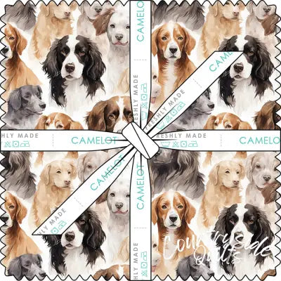 10in Squares Paw & Whisker, 42pcs/bundle