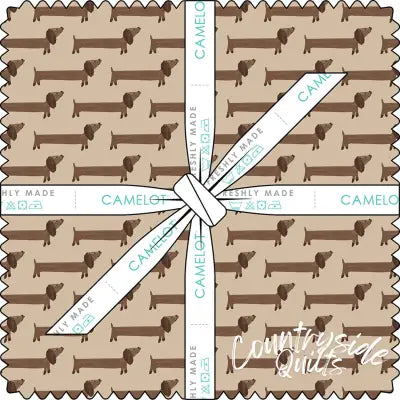 10in Squares Pawsitively Adorable, 42pcs/bundle