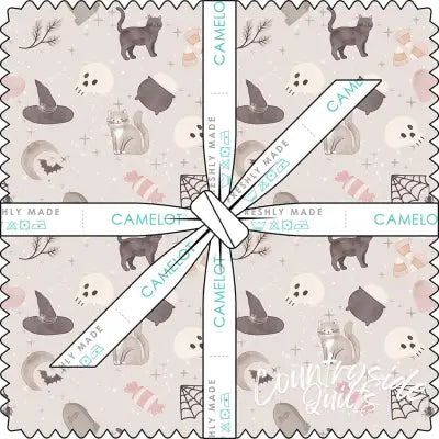 10in Squares Pumpkins & Paws, 42pcs/bundle