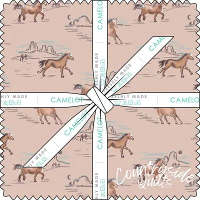 10in Squares Run Free, 42pcs/bundle