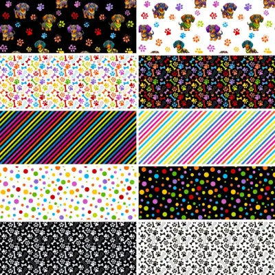 10Inch Square Pack Dapper Dachshunds 42pcs