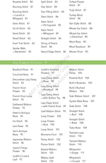 Judith Baker Montanos Essential Stitch Guide