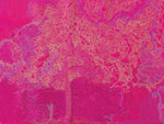 Color Thread & Free-Motion Quilting