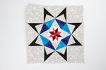 Carol Doaks Starry Block of the Month