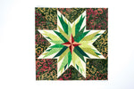 Carol Doaks Starry Block of the Month