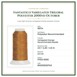 Product Specifications – Fantastico Variegated Trilobal Polyester 2000yd October
