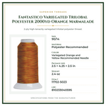 Product Specifications – Fantastico Variegated Trilobal Polyester 2000yd Orange Marmalade