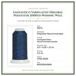 Product Specifications – Fantastico Variegated Trilobal Polyester 2000yd Wishing Well