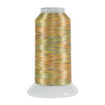 Fantastico Variegated Trilobal Polyester 2000yd Mesa
