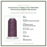 Product Specifications – Fantastico Variegated Trilobal Polyester 2000yd Blossom