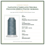 Product Specifications – Fantastico Variegated Trilobal Polyester 2000yd Wintry Morning
