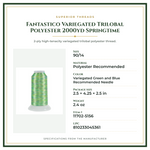 Product Specifications – Fantastico Variegated Trilobal Polyester 2000yd Springtime