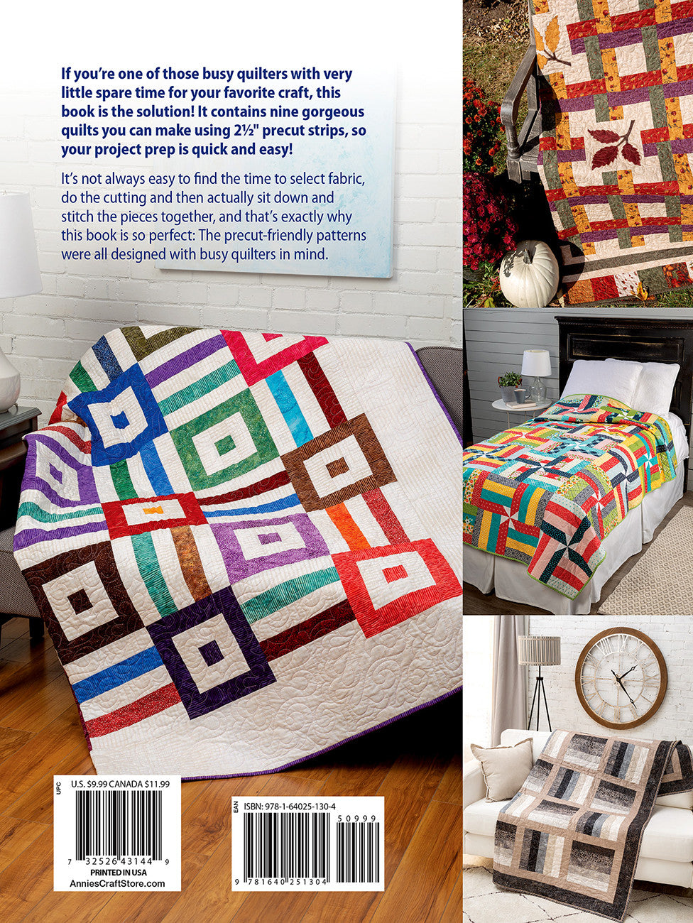 Time Saving Quilts with 2 1/2 inch Strips