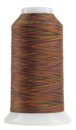 Omni Variegated Polyester Thread 40wt 2000yd Byzantine