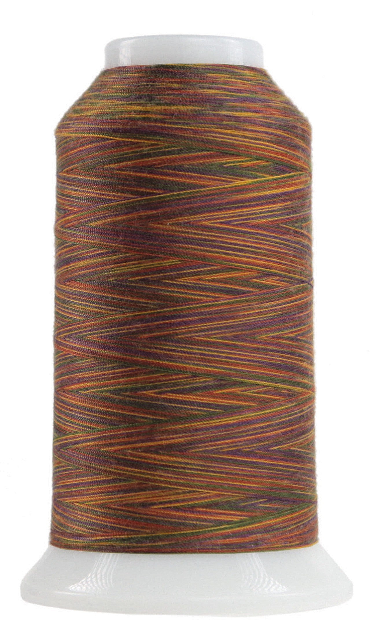 Omni Variegated Polyester Thread 40wt 2000yd Byzantine