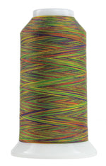 Omni Variegated Polyester Thread 40wt 2000yd Zumba