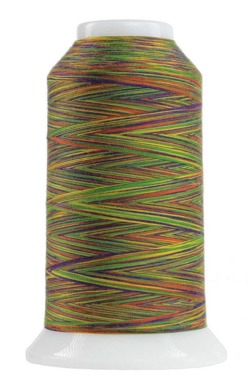 Omni Variegated Polyester Thread 40wt 2000yd Zumba