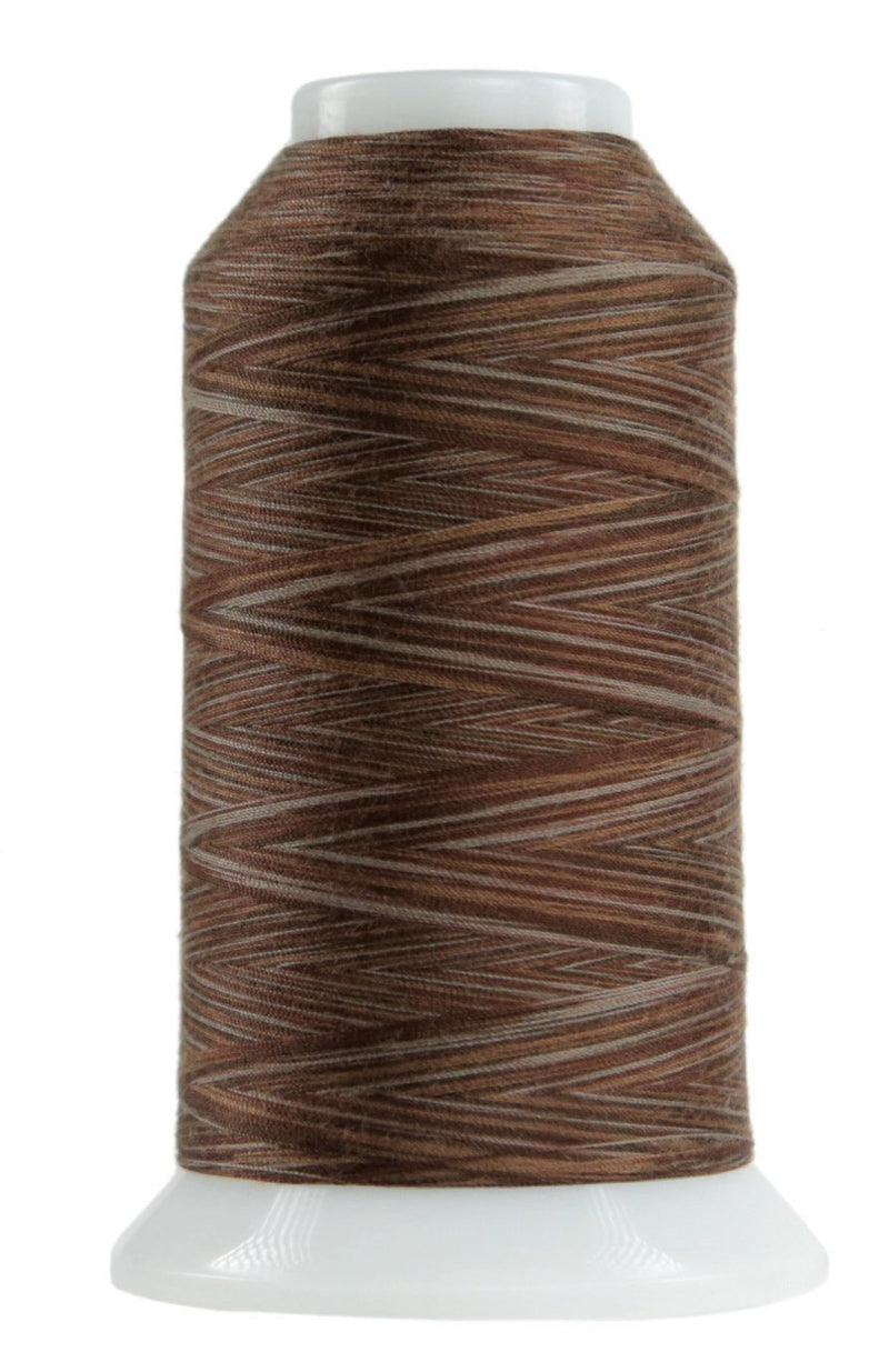 Omni Variegated Polyester Thread 40wt 2000yd Chocolate Pudding