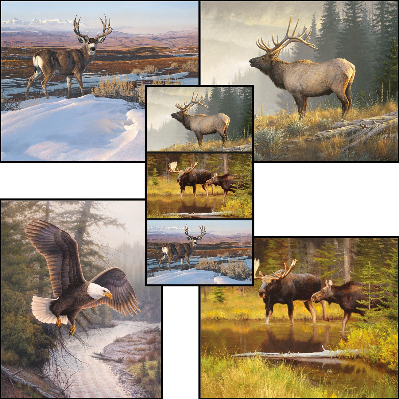 Majestic in Nature II Panel Bundle, 5 Pcs.