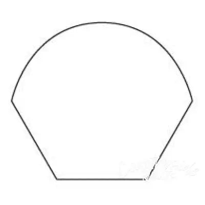 1in Hexagon Flower Petal Papers (100 pieces per bag)