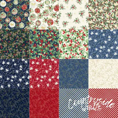 2-1/2in Strips, Joyful, 40pcs/bundle