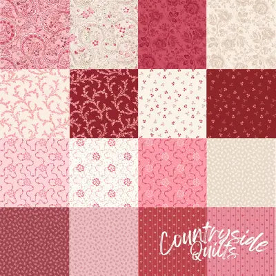 2.5in Strips Victoria, 40pcs/bundle