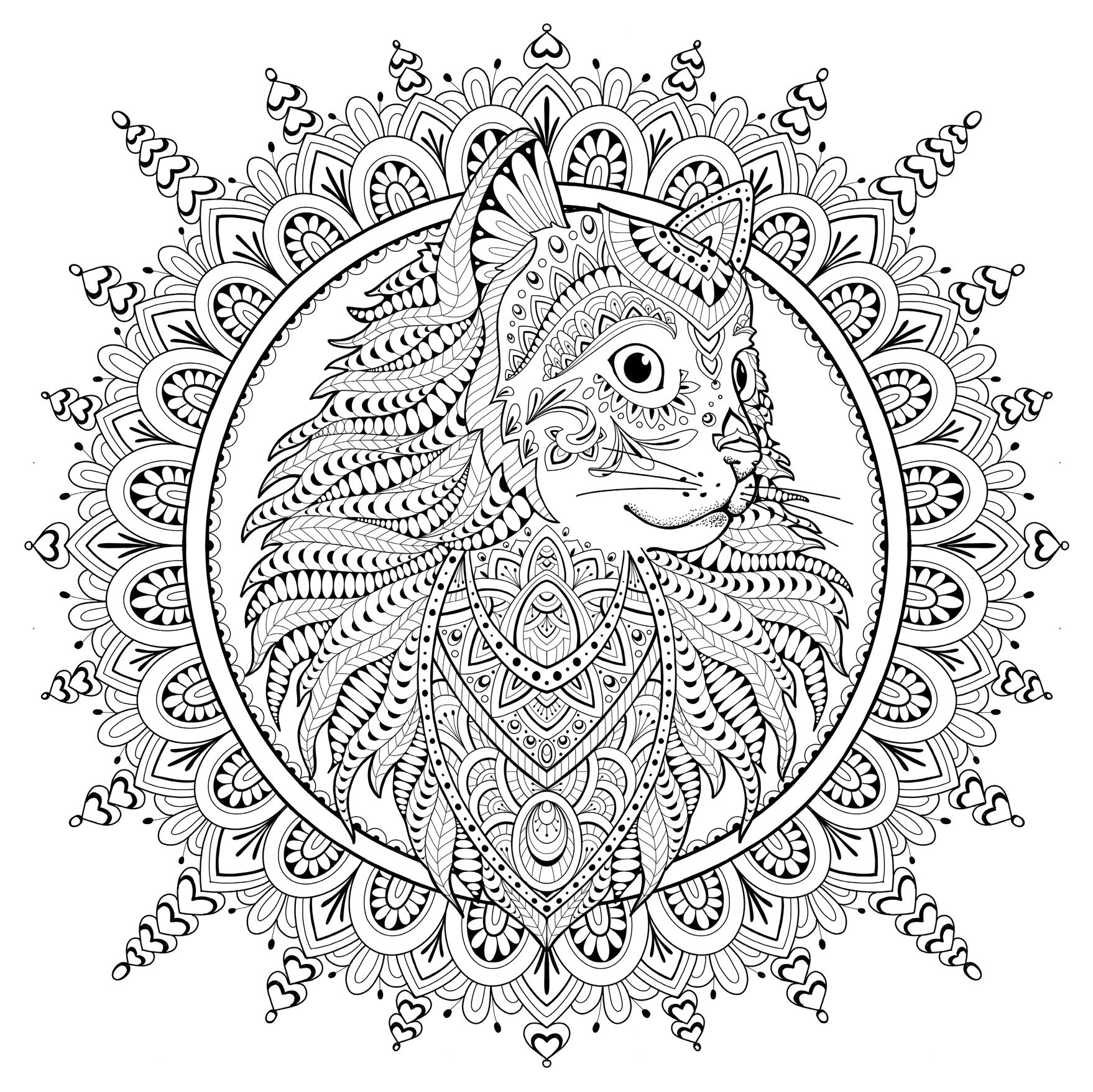 Image alt