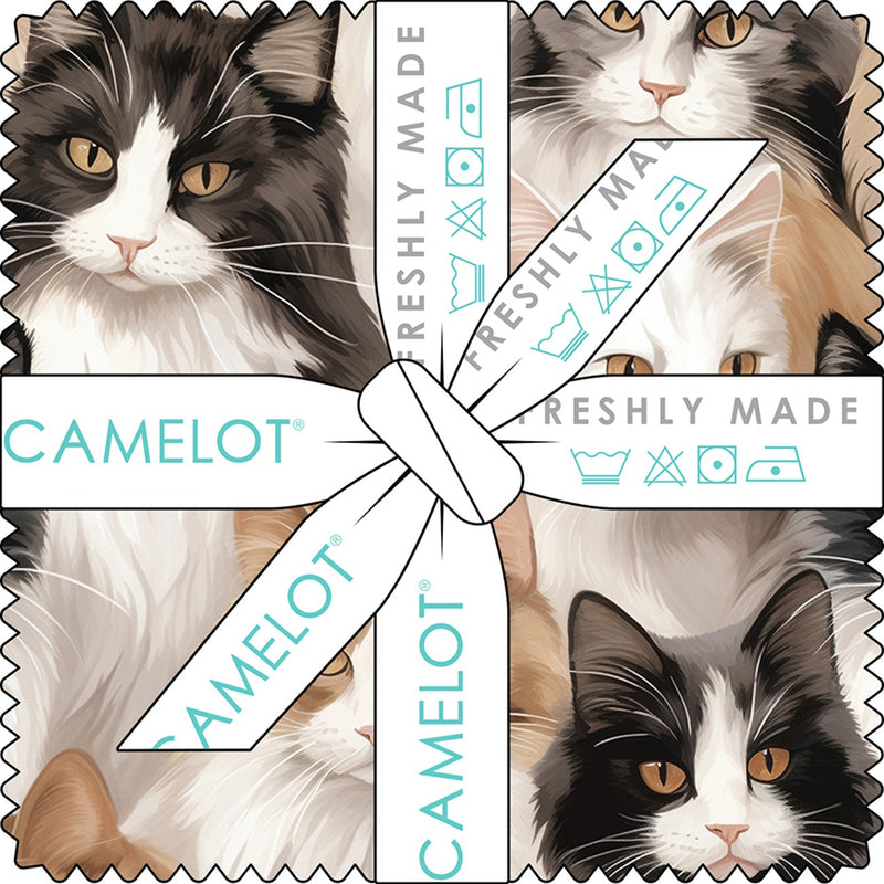 5in Squres Paw & Whisker, 42pcs/bundle