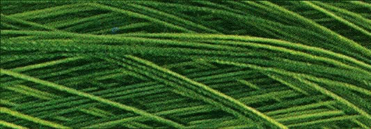 Machine Cotton Quilting Thread 3-ply 3000yd Variegated Foliage