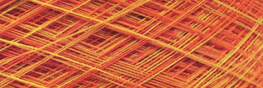 Machine Cotton Quilting Thread 3-ply 3000yd Variegated California Poppy