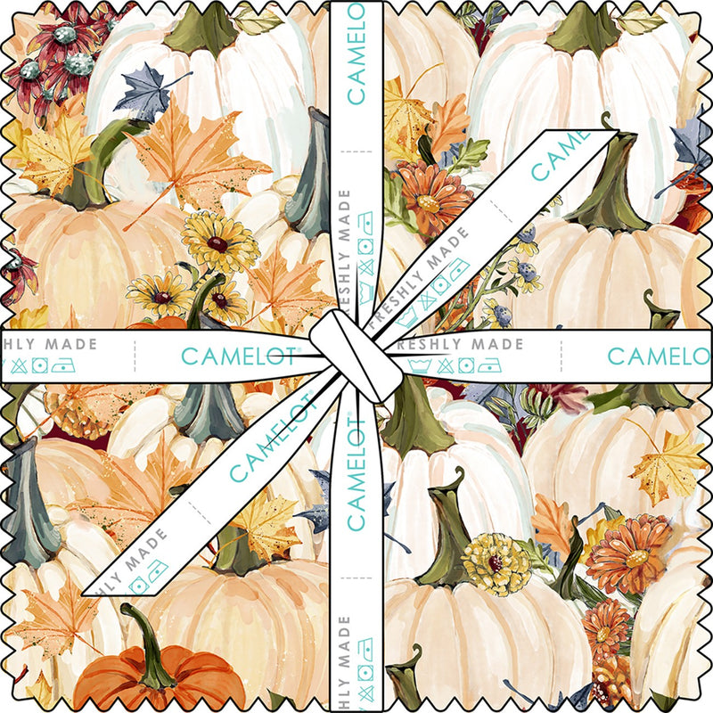 10in Squares Pumpkin Patch Keeper, 42pcs/bundle