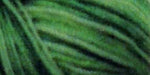 Cotton Quilting Thread Variegated 3000yd Spring Grass