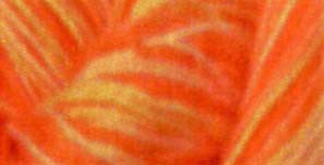 Cotton Quilting Thread Variegated 3000yd Orange Craze