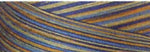 Cotton Quilting Thread 3-ply 40wt 3000yds Variegated French Country