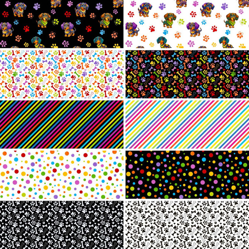 10Inch Square Pack Dapper Dachshunds 42pcs