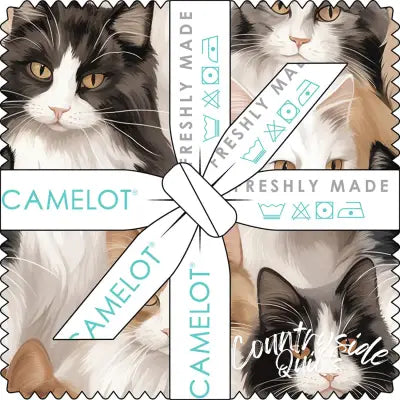 5in Squres Paw & Whisker, 42pcs/bundle