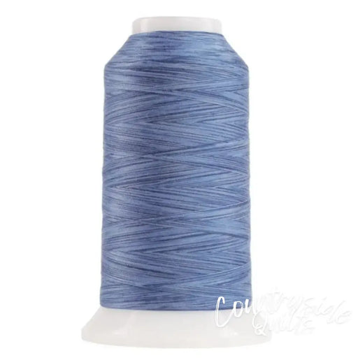 9004 Baby Benjamin Omni Variegated Polyester Thread