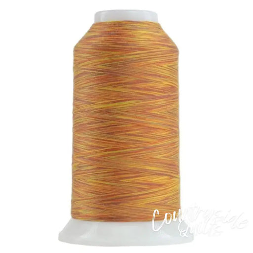 9005 Sweet Potato Omni Variegated Polyester Thread