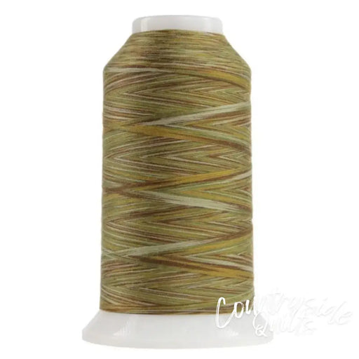 9010 Multigrain Omni Variegated Polyester Thread OMNIV-9010