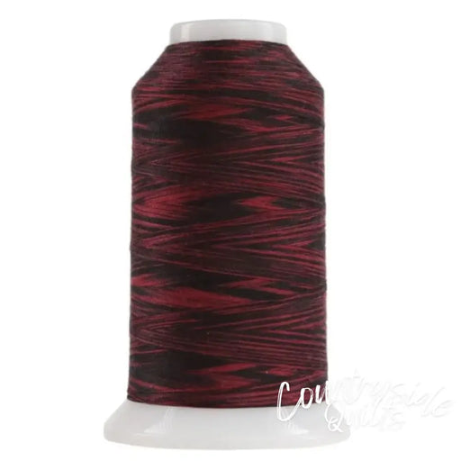 9017 Ladybug Omni Variegated Polyester Thread OMNIV-9017